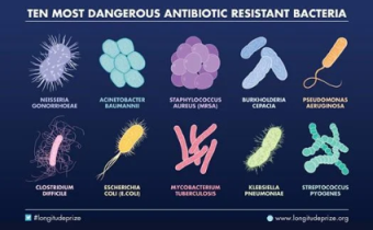 Včelí jed – na likvidovanie rezistentných baktérií