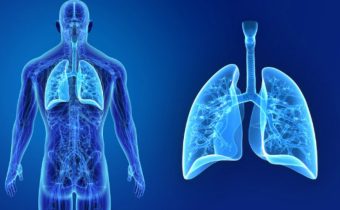 Včelí jed na zápaly pľúc a zápaly dýchacieho ústrojenstva