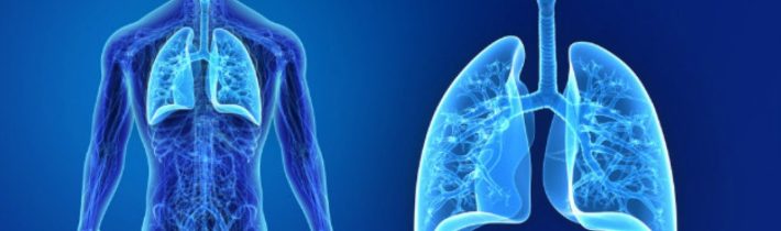 Včelí jed na zápaly pľúc a zápaly dýchacieho ústrojenstva