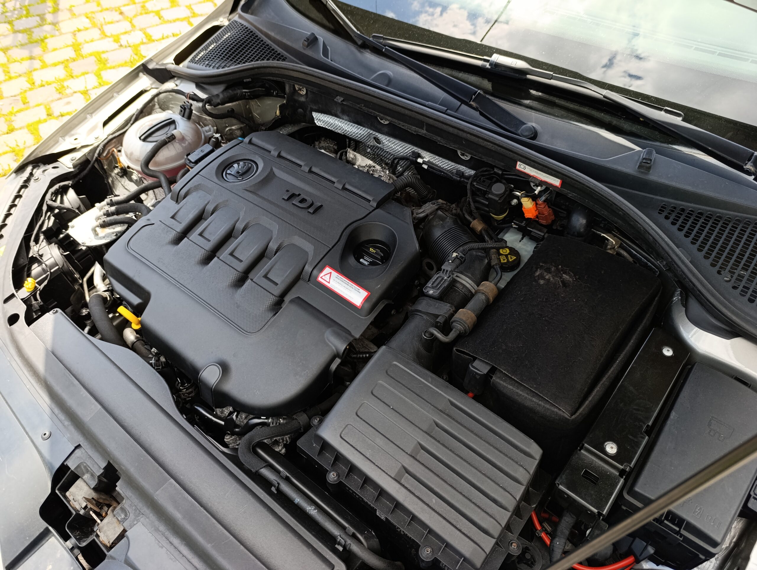 Škoda Octavia III, 1.6TDI 11/2015 Rozvod menený