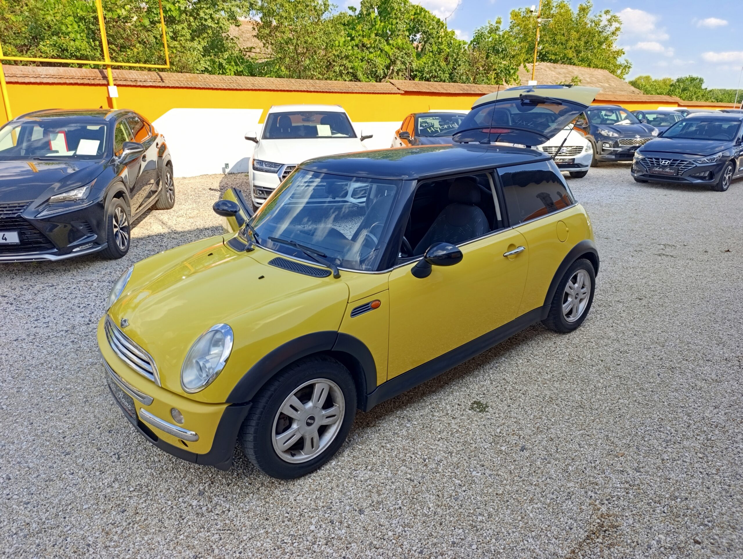 Mini One D