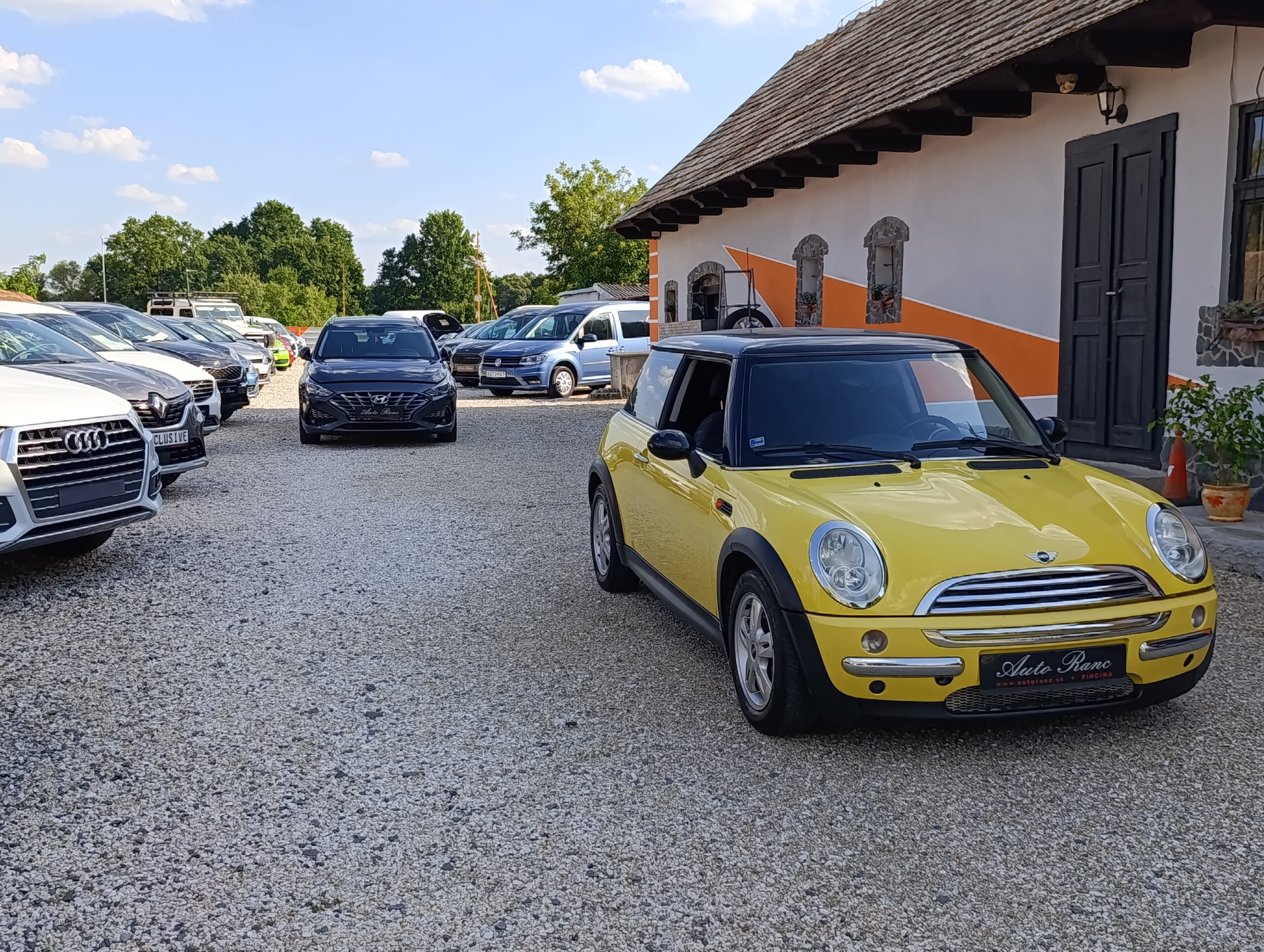 Mini One D